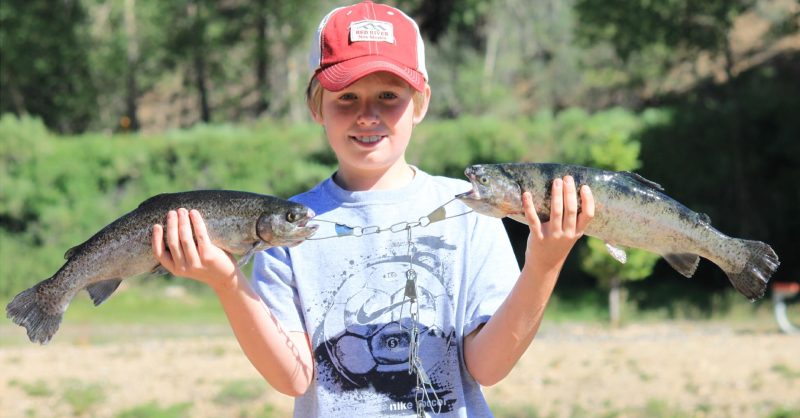 Images Of Fish In River Green River / New Fork River Fishing Report: