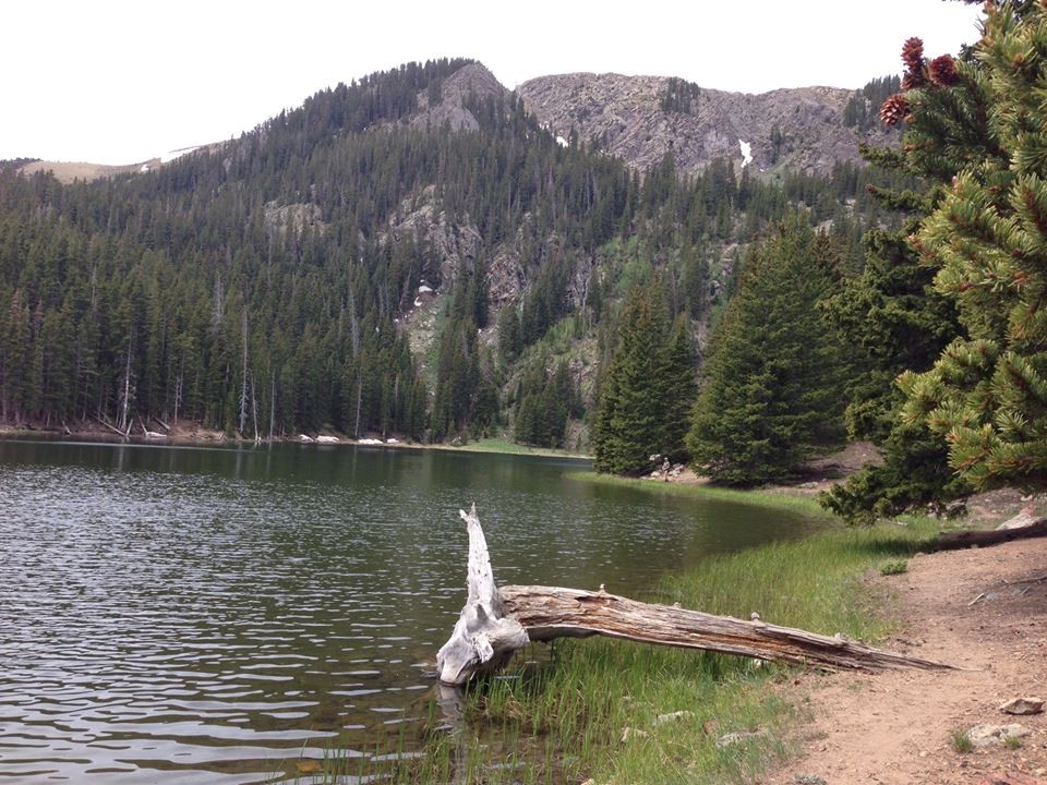 Middle Fork Lake Trail Hike | Red River, NM